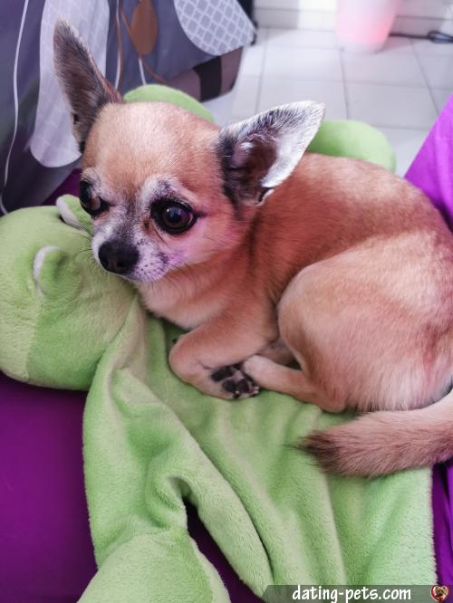 fleur2060 - date a English, 100% free fleur2060