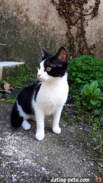 charly - date a English, 100% free charly