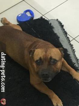 letombeur - date a English, 100% free letombeur