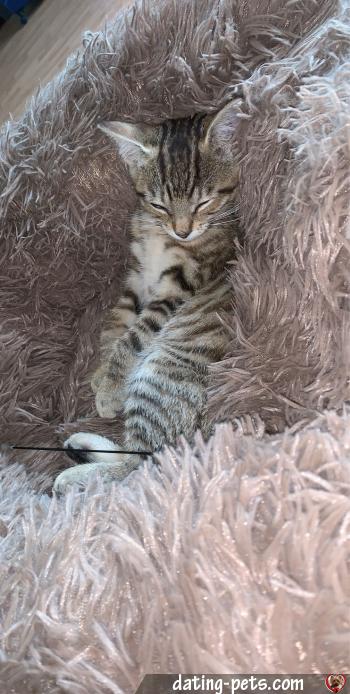 lucky95 - date a English, 100% free lucky95