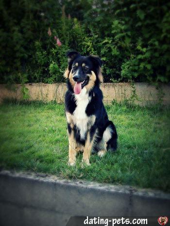 looky - date a English, 100% free looky