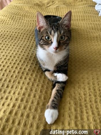 romy20 - date a English, 100% free romy20