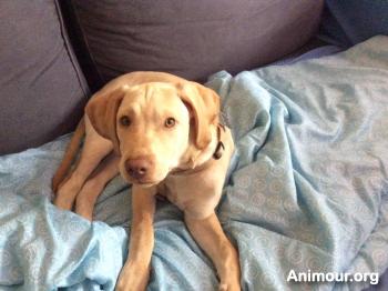 moon37 - date a English, 100% free moon37