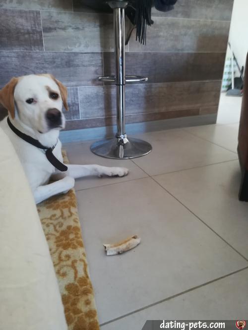 goacanet - date a English, 100% free goacanet