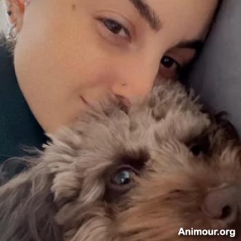 cessepas31 - date a English, 100% free cessepas31