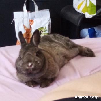 leonanton - date a English, 100% free leonanton