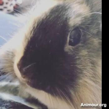 coquinette - date a English, 100% free coquinette