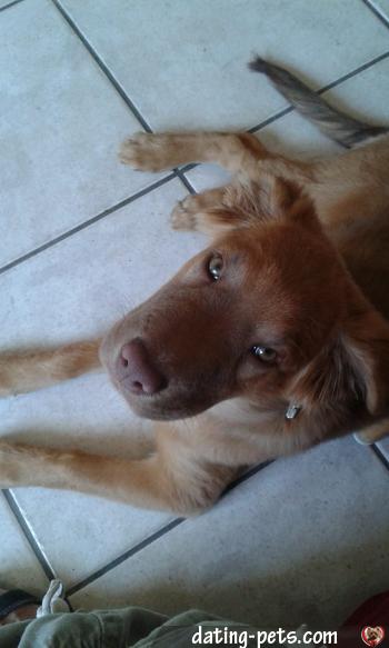 diabola - date a English, 100% free diabola