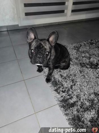 nemo38260 - date a English, 100% free nemo38260